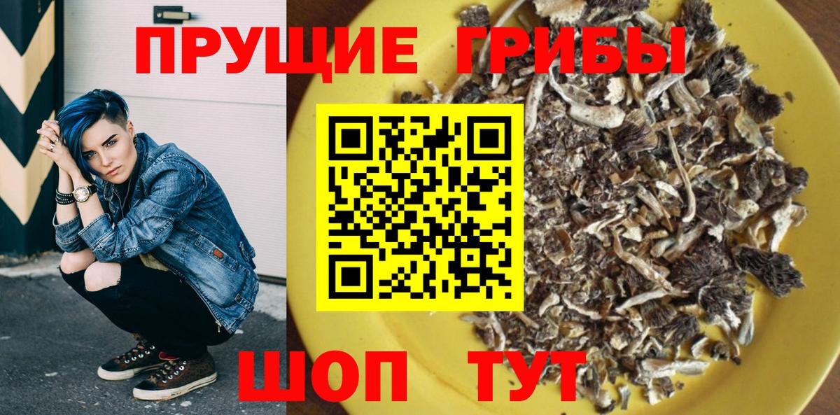 Галлюциногенные грибы Cubensis Калач-на-Дону